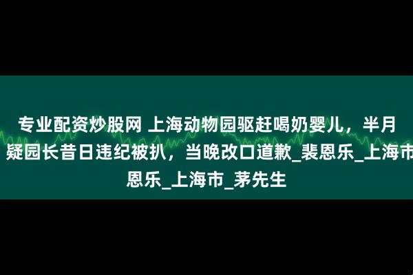 专业配资炒股网 上海动物园驱赶喝奶婴儿，半月拒道歉；疑园长昔日违纪被扒，当晚改口道歉_裴恩乐_上海市_茅先生