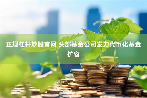 正规杠杆炒股官网 头部基金公司发力代币化基金扩容