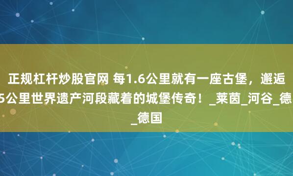 正规杠杆炒股官网 每1.6公里就有一座古堡，邂逅65公里世界遗产河段藏着的城堡传奇！_莱茵_河谷_德国